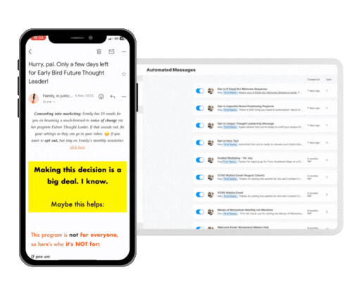 Email Automation and Marketing example